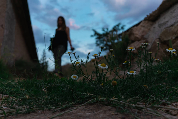 Μια νεαρή γυναίκα περπατά σε ένα όμορφο ηλιοβασίλεμα, με όμορφες μαργαρίτες στο προσκήνιο. - Φωτογραφία, εικόνα