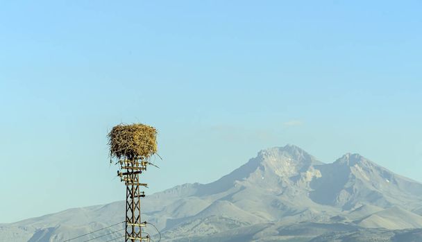 A nest with storks with mountains in the background - Foto, immagini