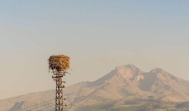 Un nido per cicogne con montagne sullo sfondo - Foto, immagini