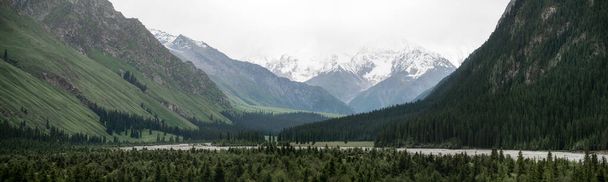 Montagnes enneigées et arbres dans une journée nuageuse. Khan Tengri Mountain, tourné dans le Xinjiang, en Chine. - Photo, image