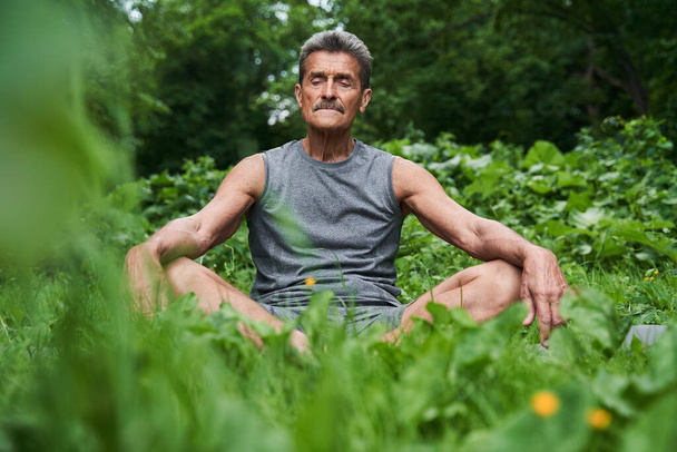 Senior man meditating in nature around the trees - Fotografie, Obrázek