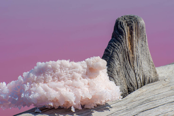 Groot zout kristal op houten pilaar op een roze zoute meer. Genezing van zout en modder voor cosmetologie. - Foto, afbeelding