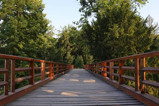 Obszar Lednicko-Valtice w Republice Czeskiej. Drewniany most nad stawami w parku zamkowym. Ścieżka prowadząca przez ogród zamkowy. - Zdjęcie, obraz