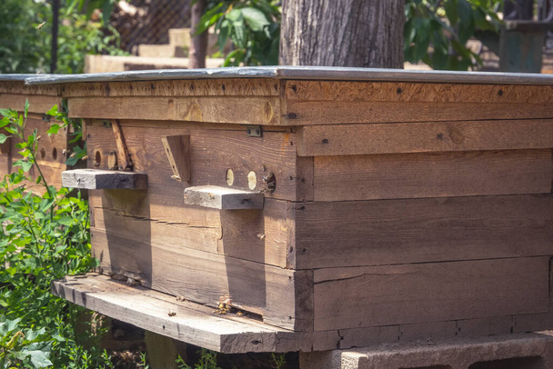 蜂は庭で養蜂場で蜂を飛んでいます。閉鎖 - 写真・画像