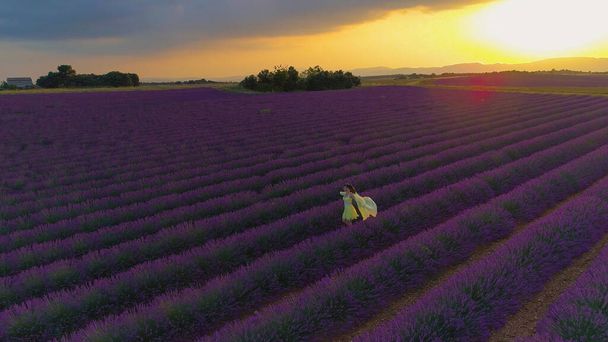 AERIAL Golden ilta auringonsäteet loistaa naisten turisti tutkia laventeli aloilla - Valokuva, kuva