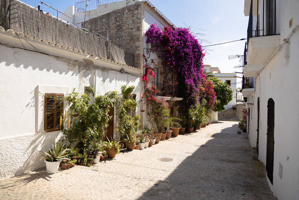 Strada nel centro storico di Ibiza con fiori in fiore, bouganville rosa - Foto, immagini
