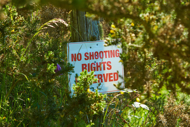 Η πινακίδα με την επιγραφή "όχι δικαιώματα σκοποβολής διατηρούνται" στο ιρλανδικό δάσος. - Φωτογραφία, εικόνα