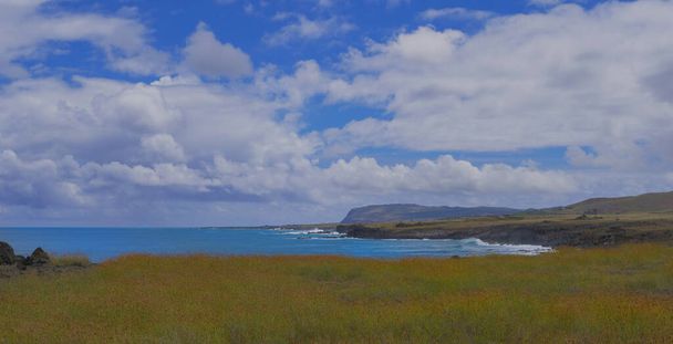 AERIAL Lecący nad nietkniętą łąką przy chropowatym wybrzeżu Wyspy Wielkanocnej - Zdjęcie, obraz