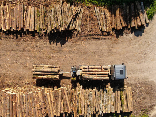 ARRIBA: Volando por encima de un camión gris cargado estacionado junto a grandes pilas de troncos de pino. - Foto, imagen