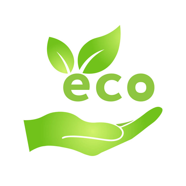 Main avec éco icône feuille verte Bio nature vert éco symbole pour le web et les entreprises - Vecteur, image