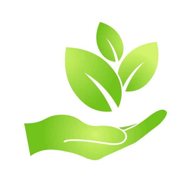 Ręka z ekologiczną ikoną zielonego liścia Bio natura zielony symbol ekologiczny dla sieci web i biznesu - Wektor, obraz