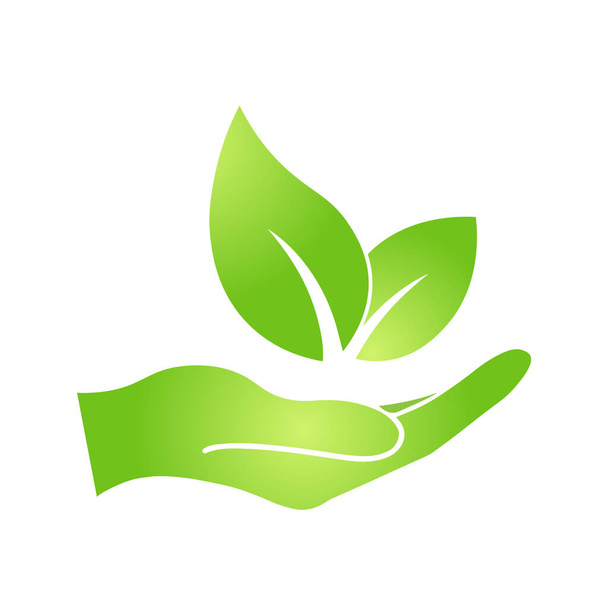 Hand with eco green leaf icon Bio nature green eco symbol for web and business - Vector, afbeelding