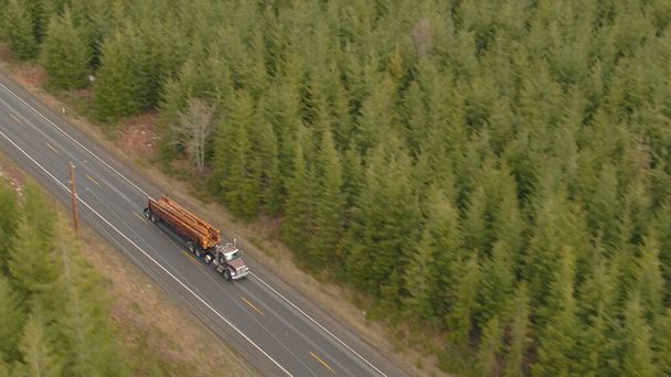 AERIAL: Snelheid grote tuig transporteert zware houtblokken langs een lege asfaltweg. - Foto, afbeelding
