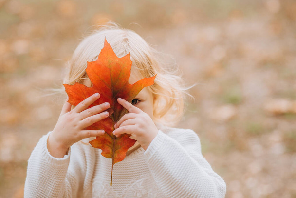 happy children play in autumn park throw up fallen leave - Fotó, kép
