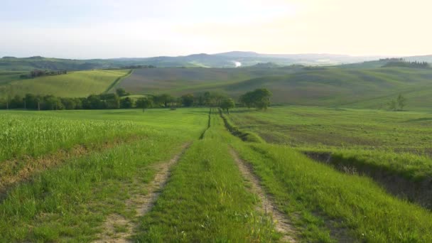 Paysage verdoyant unique dans la vallée de l'Orcia, Toscane, Italie. Gamme montagneuse cultivée et champs de céréales. - Séquence, vidéo