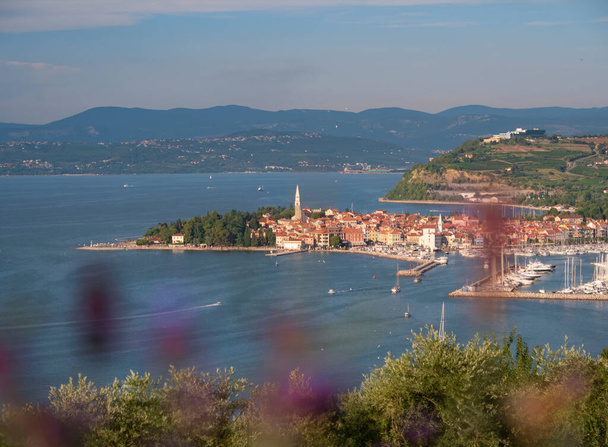 FECHAR UP: Lavanda obstrui a vista de uma cidade costeira histórica no Adriático - Foto, Imagem