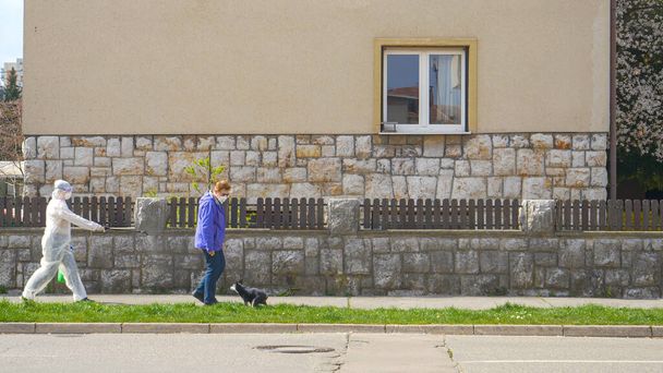 Ältere Frau, die ihren Hund spazieren führt, wird von Virologen auf der Straße besprüht. - Foto, Bild
