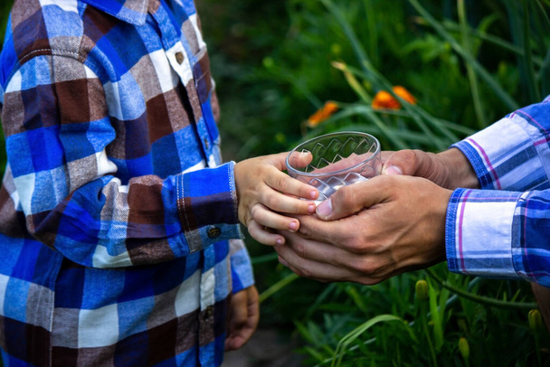 water in a glass in the hands of a child and father. Nature. Selective focus - Photo, Image