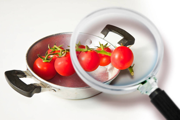HACCP (Hazard Analysis and Critical Control Points) - Контроль безопасности и качества продуктов питания в пищевой промышленности - концепция с помидорами, рассматриваемыми через увеличительное стекло. - Фото, изображение