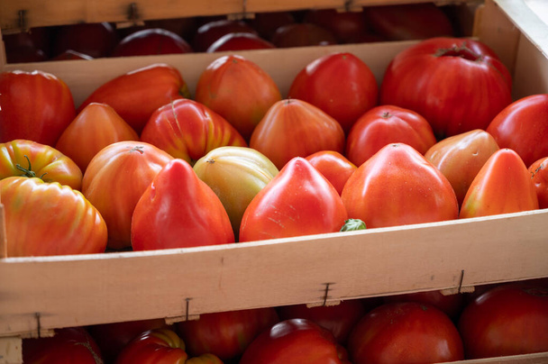 Smaczne duże dojrzałe francuskie pomidory w drewnianych pudełkach na rynku rolników w Prowansji latem - Zdjęcie, obraz