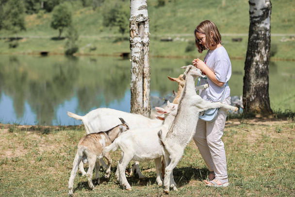Ragazza si nutre e gioca con le capre in una fattoria - Foto, immagini
