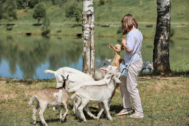 女の子は餌を与え、農場でヤギと遊ぶ - 写真・画像