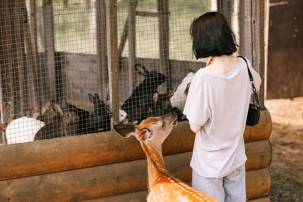 A girl feeds spotted deer and rabbits on the farm - Foto, Imagen