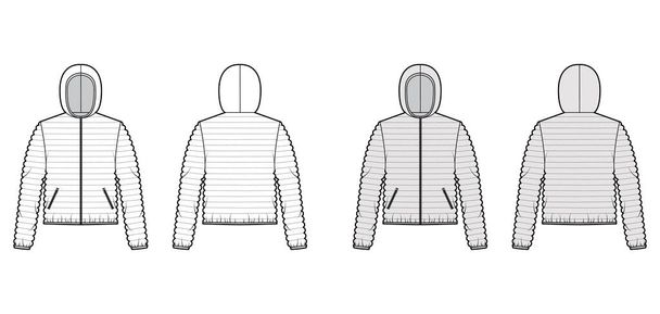 Kapucnis kabát Le puffer kabát technikai divat illusztráció hosszú ujjú, cipzáras lezárás, zseb, keskeny paplan - Vektor, kép