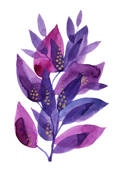 Acuarela de hierba púrpura dibujada a mano y flor con hojas aisladas sobre fondo blanco. Objeto de naturaleza creativa de arte de rama para tarjeta, pegatina, papel pintado, textil - Foto, Imagen
