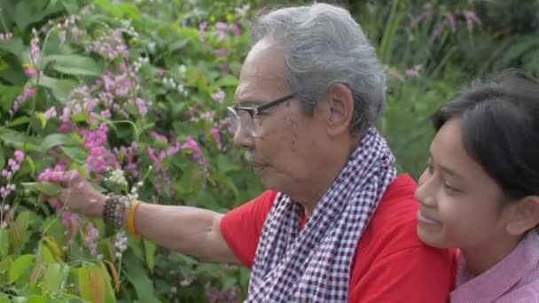 Elderly retire gray hair grandfather taking care of flowers in the garden while adorable granddaughter approach and embraces him from behind. Bonding in two generation of a family. Healthy lifestyle. - Πλάνα, βίντεο