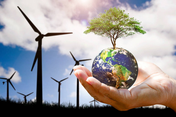 Concetto di energia pulita per ridurre il riscaldamento globale. mano che tiene un globo con un albero Lo sfondo è una turbina eolica che genera elettricità. - Foto, immagini