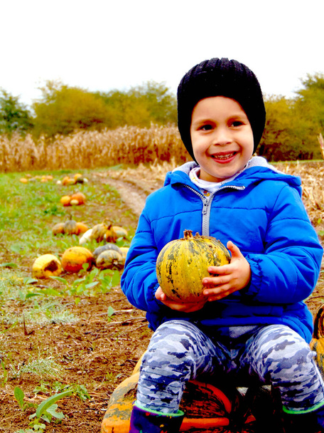 a boy among the pumpking on the farm - Fotoğraf, Görsel