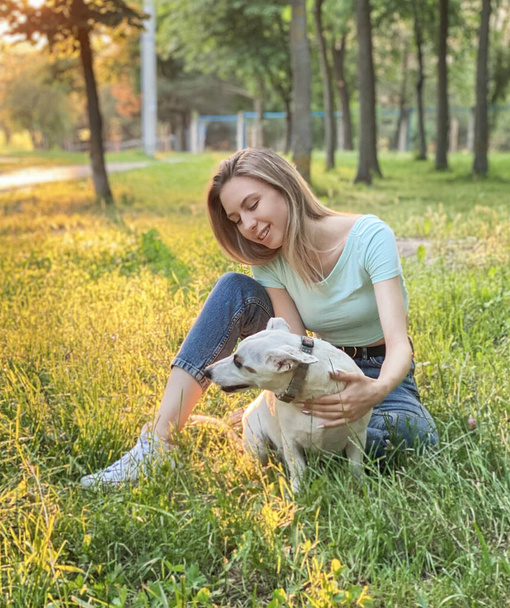 Mujer jugando con un perro raza Jack Russell Terrier  - Foto, Imagen