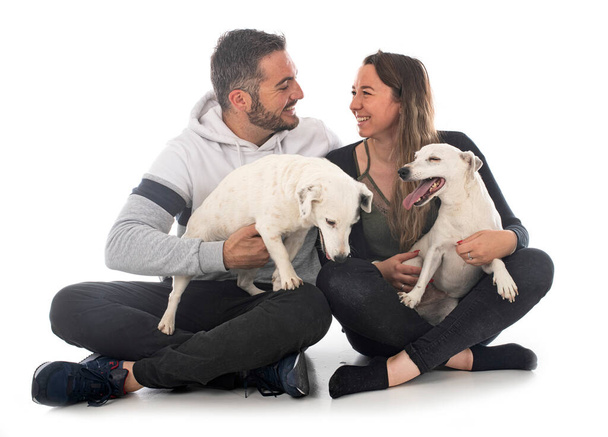 jack russel terriers and couple in front of white background - Fotografie, Obrázek