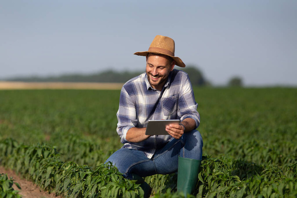 Jovem agricultor atraente que utiliza tecnologia moderna na agricultura. Agronomista masculino agachado em campo ou pimentões segurando tablet sorrindo. - Foto, Imagem