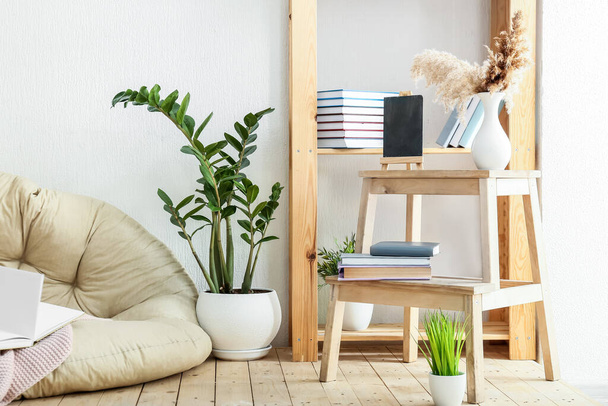 本棚と観葉植物と現代的な部屋のスタイリッシュなインテリア - 写真・画像