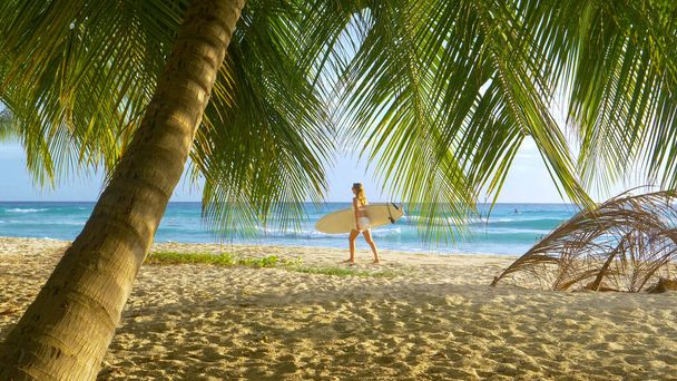 Νεαρή τουρίστρια κουβαλάει την ιστιοσανίδα της σε μια ειδυλλιακή τροπική παραλία. - Φωτογραφία, εικόνα