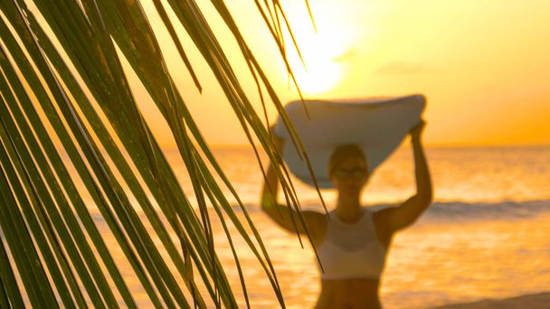 Κοντινό πλάνο: Ευτυχισμένη γυναίκα έρχεται από την παραλία μεταφέρουν μια σανίδα του σερφ στο κεφάλι της. - Φωτογραφία, εικόνα