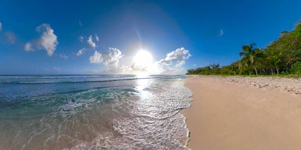 Bright summer morning sunbeams shine on tropical white sand beach in Caribbean. - Photo, Image