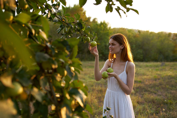 Γυναίκα σε λευκό φόρεμα κοντά στη φύση μηλιά καλοκαίρι - Φωτογραφία, εικόνα