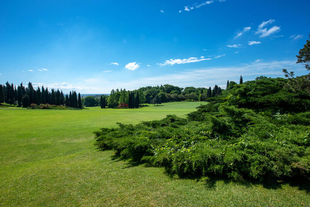 Landscape view of a large garden with manicured lush green lawn and ornamental Japanese Maple foliage trees in the foreground and a view to cypresses and woodland beyond - Photo, Image
