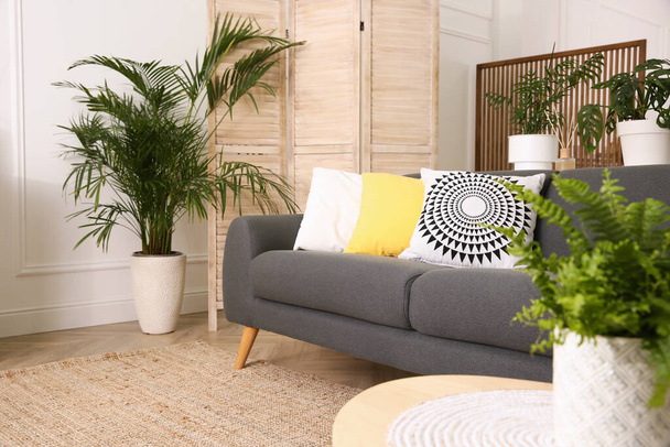Beautiful room interior with stylish furniture and decor elements - Foto, immagini