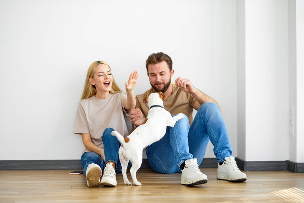 Szczęśliwy kaukaski para rodzina siedzieć na podłodze bawiąc się z pies, baw się dobrze, cieszyć weekendy - Zdjęcie, obraz