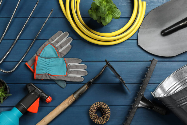 Flat lay composition with gardening tools and green plants on blue wooden background - Zdjęcie, obraz