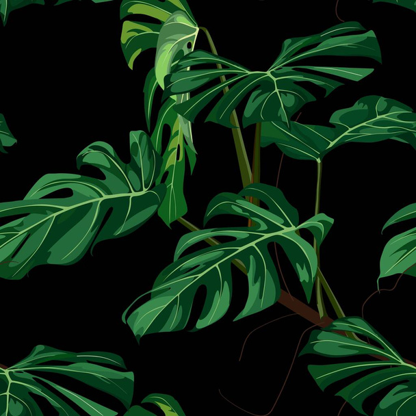Tropikalny zielony potwór palma liście tła. Płynny wzór. Ilustracja graficzna. Egzotyczne rośliny dżungli. Letni projekt kwiatowy plaży. Rajska natura. - Wektor, obraz