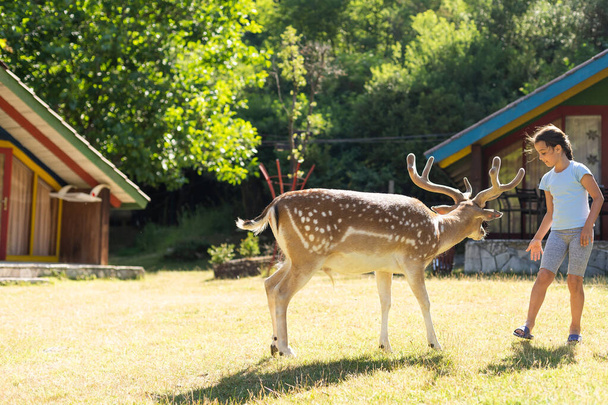 happy little girl with deer. family weekend - Zdjęcie, obraz