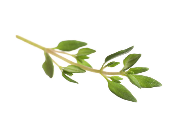 Aromatic thyme sprig on white background. Fresh herb - Фото, зображення