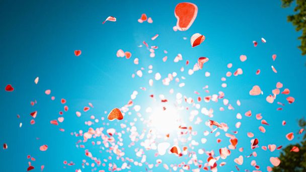 BOTTOM UP: Herzförmiges Konfetti fällt bei Gender-Party vom Himmel - Foto, Bild