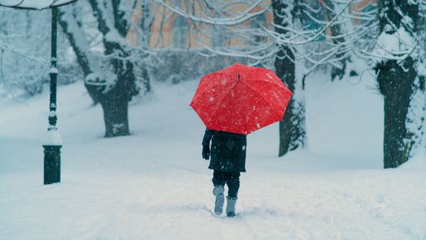 Неузнаваемая женщина с красным зонтиком идет по пустой снежной аллее. - Фото, изображение