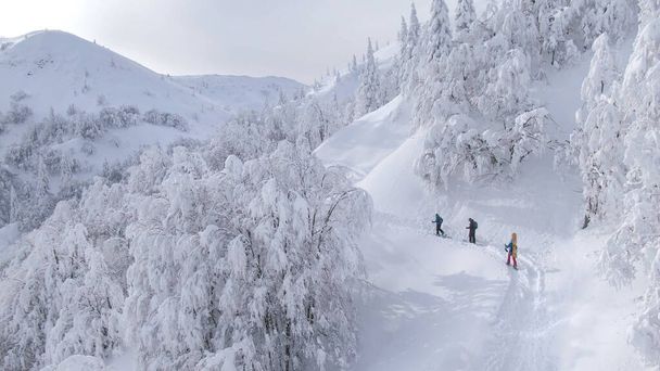 DRONE: Letecký pohled na nedotčenou bílou horskou krajinu obklopující lyžařské turisty. - Fotografie, Obrázek